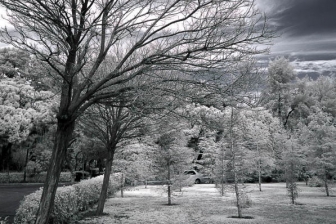 18-55mm@18mm f/3.5 shutter:1/125 iso:100