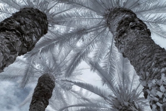 18-55mm@18mm f/4 shutter:1/125 iso:200