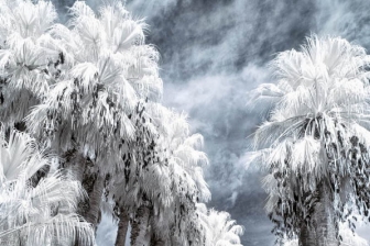 18-55mm@18mm f/4 shutter:1/125 iso:200