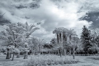 18-55mm@18mm f/4 shutter:1/250 iso:200