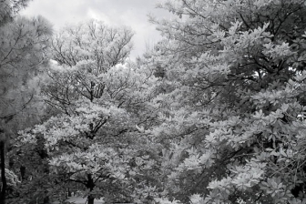 18-55mm@18mm f/4 shutter:1/60 iso:200