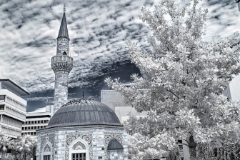 18-55mm@18mm f/5.6 shutter:1/60 iso:200