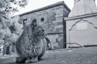 18-55mm@18mm f/5.6 shutter:1/30 iso:200