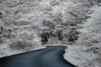 50mm f/1.8G f/8 shutter:1/160 iso:200