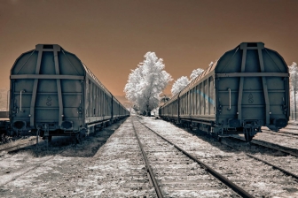 18-55mm@20mm f/8 shutter:1/250 iso:100