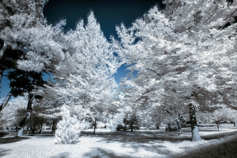 Nikon D700 ve Hoya R72