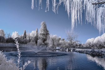 18-105mm@18mm f/8 shutter:1/90 iso:200