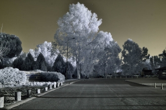 18-105mm@18mm f/8 shutter:1/60 iso:200