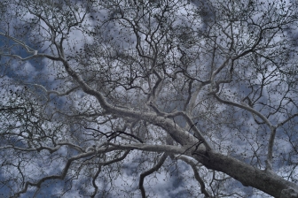 35mm f/1.8G f/8 shutter:1/125 iso:200