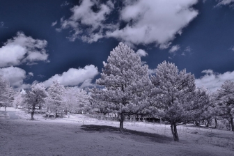 18-55mm@18mm f/8 shutter:1/350 iso:200