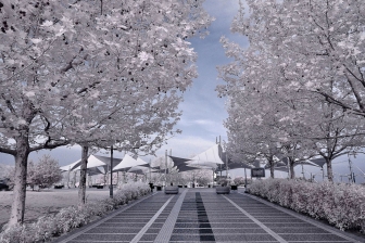 18-55mm@18mm f/8 shutter:1/125 iso:400