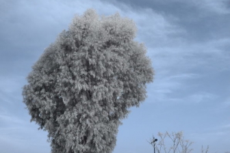 18-55mm@18mm f/8 shutter:1/125 iso:400