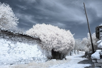 18-55mm@18mm f/8 shutter:1/250 iso:200