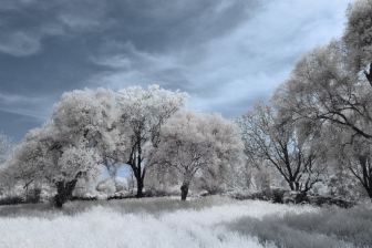 18-55mm@18mm f/8 shutter:1/250 iso:200