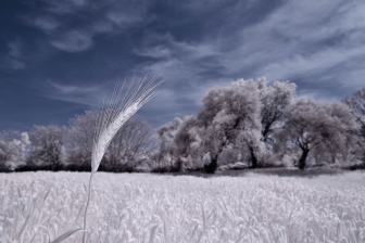 18-55mm@18mm f/8 shutter:1/250 iso:200