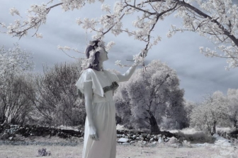 18-55mm@18mm f/8 shutter:1/350 iso:200