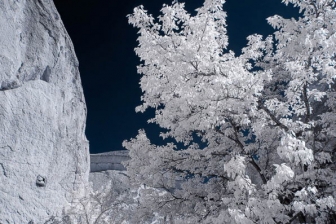 18-55mm@18mm f/8 shutter:1/350 iso:200