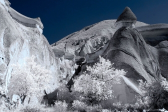 18-55mm@31mm f/6.7 shutter:1/250 iso:200