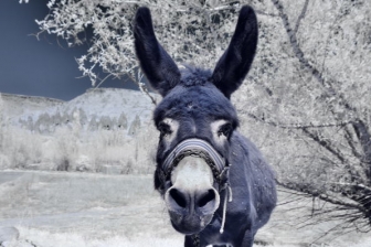 18-55mm@18mm f/8 shutter:1/250 iso:200