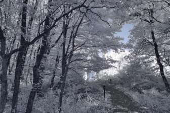 10-24mm@10mm f/8 shutter:1/60 iso:200