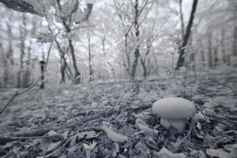 10-24mm@10mm f/3.5 shutter:1/125 iso:200