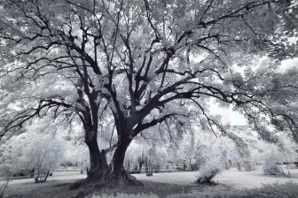 10-24mm@10mm f/8 shutter:1/10 iso:400