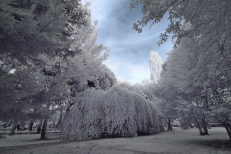 10-24mm@10mm f/8 shutter:1/30 iso:400