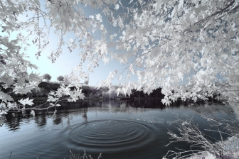 10-24mm@10mm f/8 shutter:1/90 iso:200