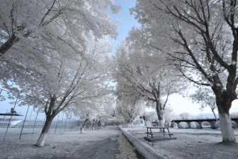 10-24mm@10mm f/8 shutter:1/30 iso:400