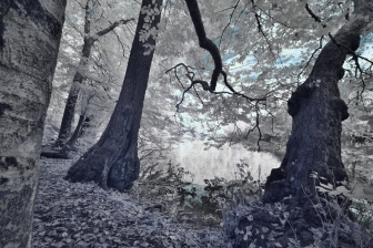 10-24mm@10mm f/8 shutter:1/60 iso:400