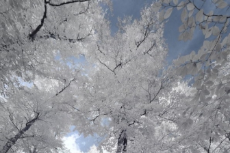 10-24mm@10mm f/8 shutter:1/60 iso:400