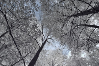 10-24mm@11mm f/8 shutter:1/30 iso:400