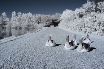 35mm f/1.8G f/8 shutter:1/750 iso:200