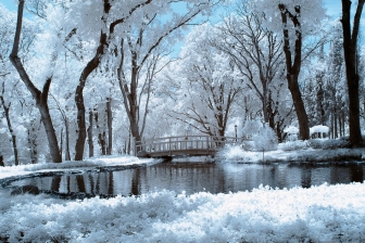 35mm f/1.8G f/8 shutter:1/125 iso:200