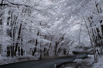 35mm f/1.8G f/5.6 shutter:1/125 iso:400