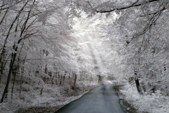 35mm f/1.8G f/8 shutter:1/180 iso:400