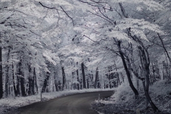 35mm f/1.8G f/8 shutter:1/250 iso:400