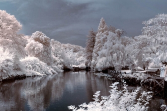 35mm f/1.8G f/8 shutter:1/500 iso:200