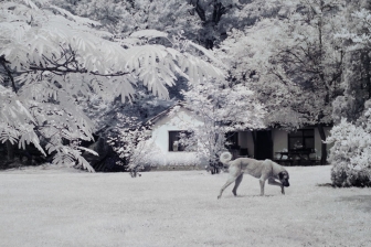 35mm f/1.8G f/8 shutter:1/500 iso:200