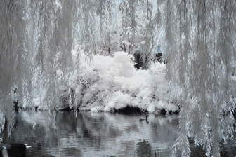 35mm f/1.8G f/8 shutter:1/350 iso:200