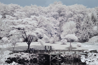 35mm f/1.8G f/8 shutter:1/750 iso:200