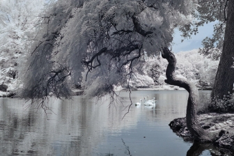 35mm f/1.8G f/8 shutter:1/500 iso:200