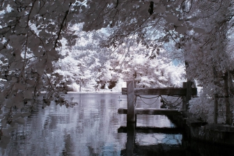 35mm f/1.8G f/8 shutter:1/350 iso:200