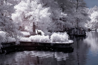 35mm f/1.8G f/8 shutter:1/750 iso:200