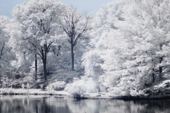 35mm f/1.8G f/8 shutter:1/500 iso:200