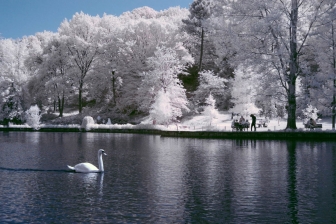 35mm f/1.8G f/8 shutter:1/350 iso:200