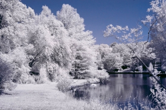 35mm f/1.8G f/8 shutter:1/500 iso:200