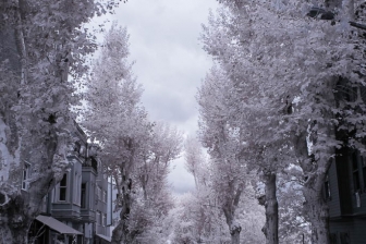 18-105mm@18mm f/8 shutter:1/60 iso:200