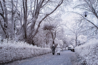 18-105mm@18mm f/5.6 shutter:1/30 iso:200