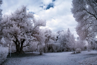 18-105mm@18mm f/5.6 shutter:1/60 iso:200